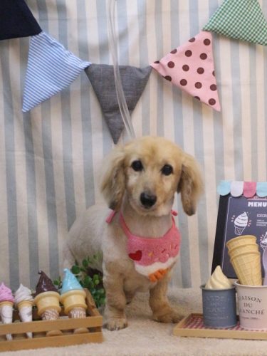 20250515ここあちゃん